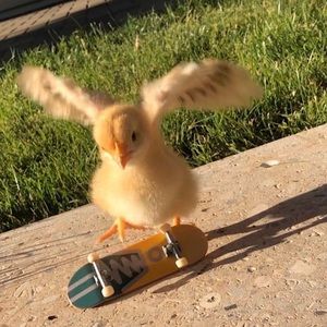 Meet your Posher, Olivia